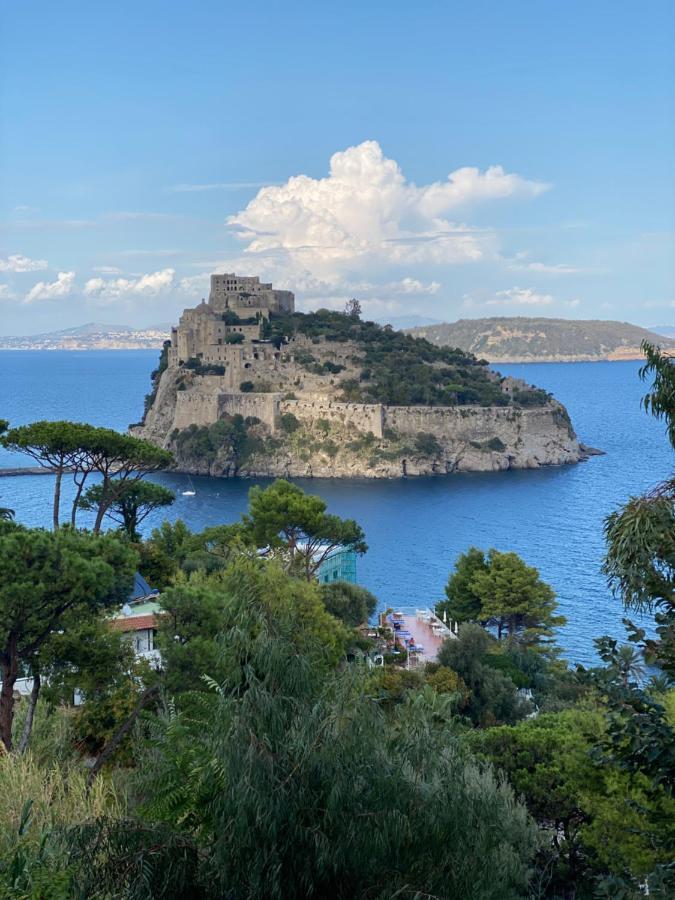 Vittoria Colonna Luxury B&B Ischia Buitenkant foto